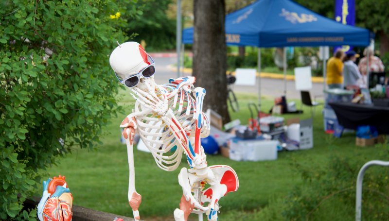 an anatomy class skeleton with sunglasses at an event