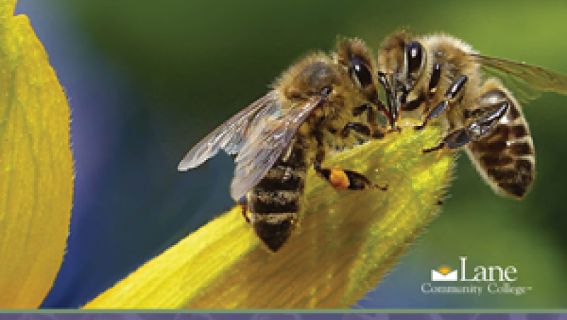 Willamette Valley Pollinators presentation event poster