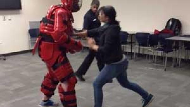 image of simulation, woman kicking attacker