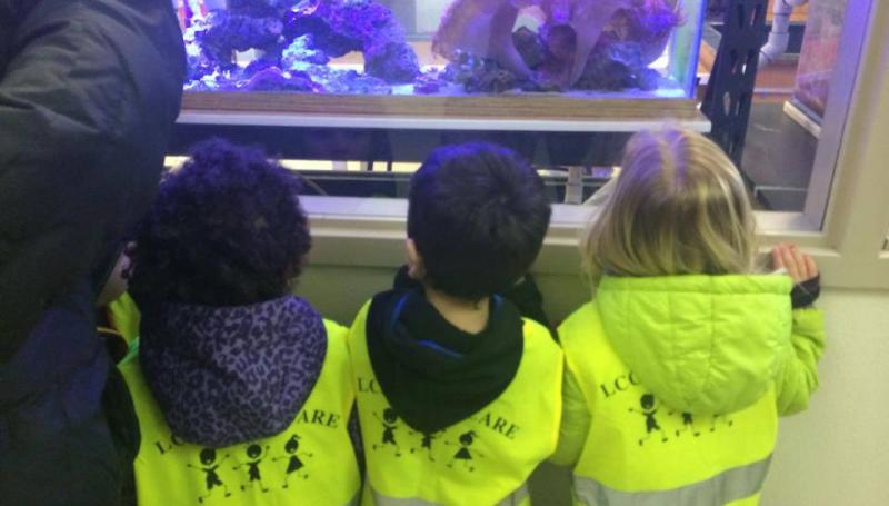 Kids on field trip to look at fish