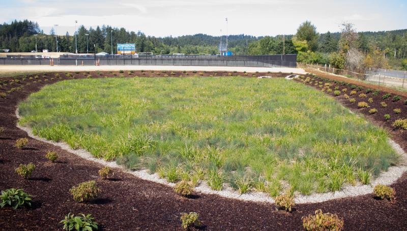 Eastern view of the swale by the baseball field