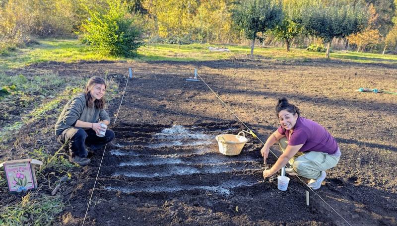 Students spreading fertilizer in the Learning Garden
