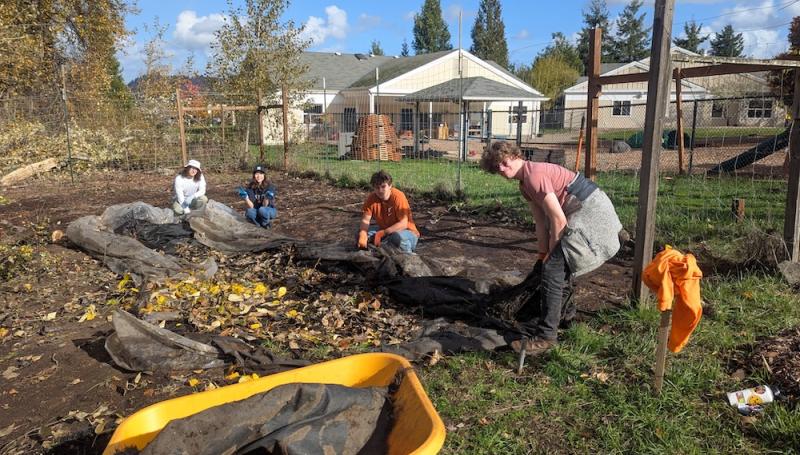 students clearing land in the Learning Garden on a sunny autumn day
