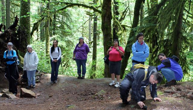 students on field trip in a mossy oregon forest, examining the soil