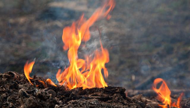 Yellow fire flames on natural wood