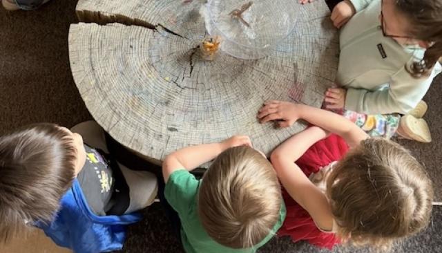 preschoolers at the Lane Child and Family Center look at a log as part of a classroom activity