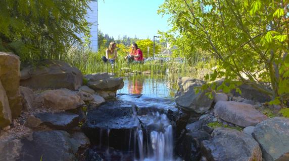 two people sitting in front of a tiny waterfall made on campus