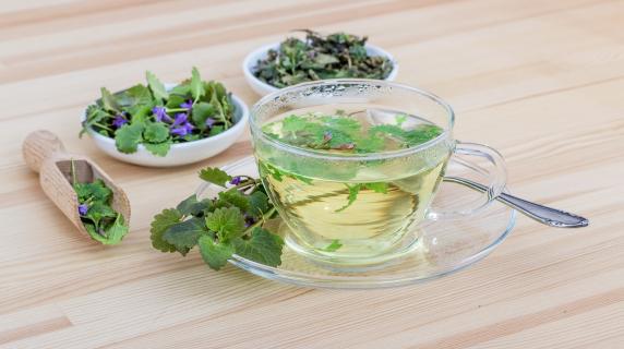 A cup of herbal tea with herbs surrounding it