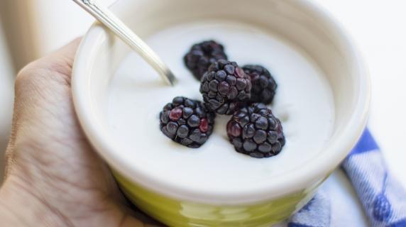 a hand holding a bowl of plain yogurt with blackberries on top