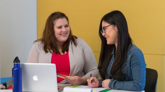 Two students studying together for their online college class