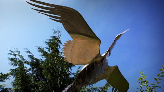 Metal bird in flight sculpture 