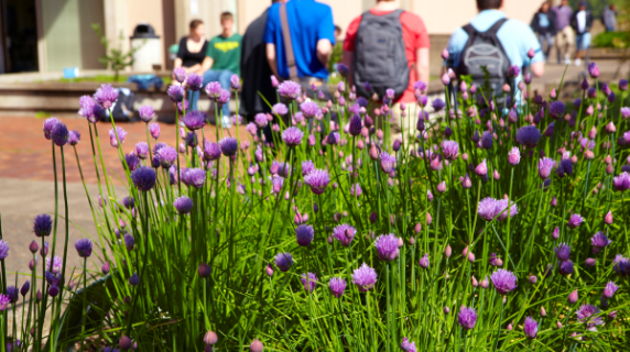 flowers on campus with students walking in background