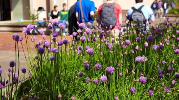 flowers on campus with students walking in background