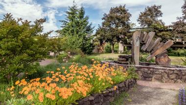 the stone fountain by building 1 with bright orange daisies in the foreground and dark green trees in the background