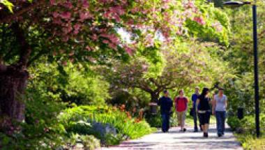 students walking on campus in spring