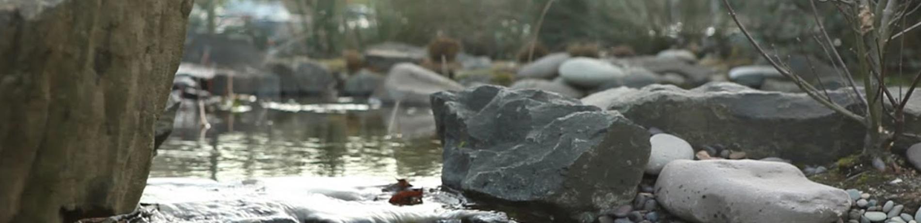 The small pond outside the Longhouse, with a small waterfall