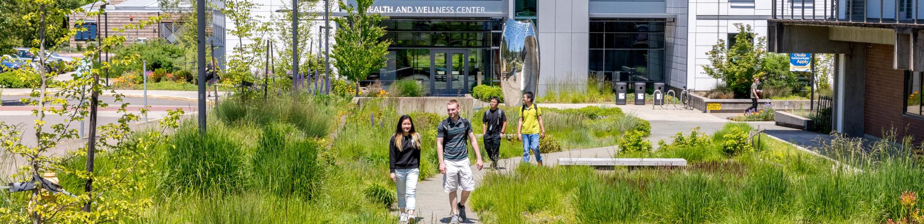 walkway with natural landscaping on lane campus
