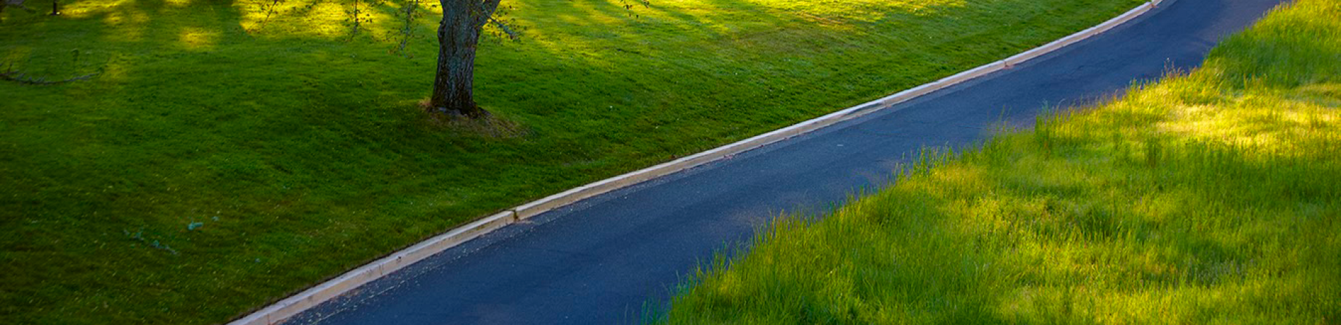 A pathway on the east side of campus