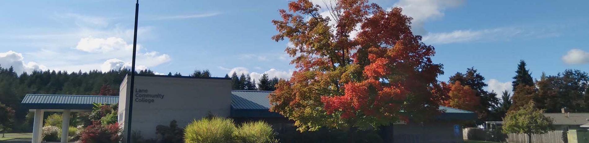 a photo of the cottage grove center, featuring a large tree in fall