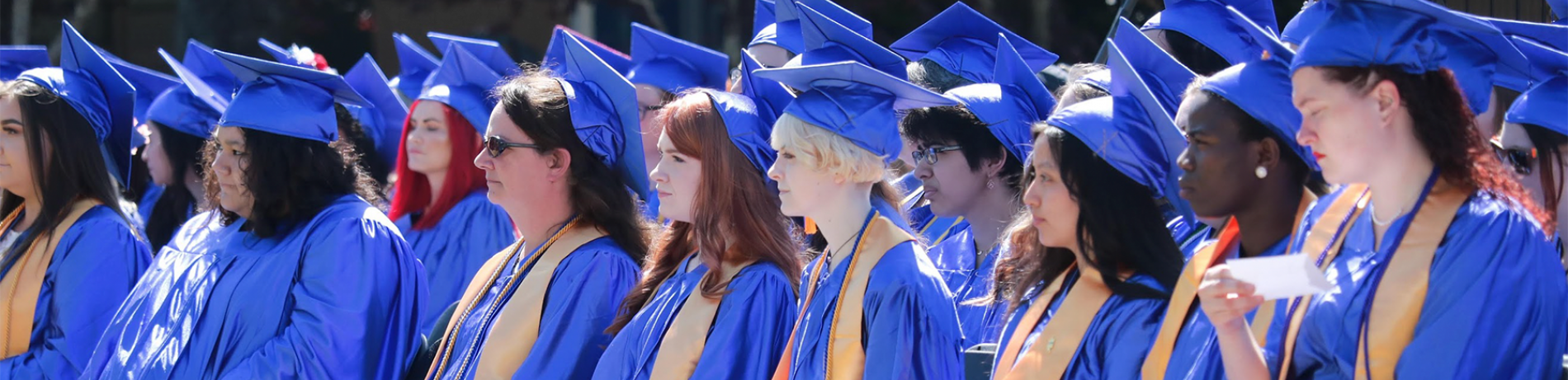 Phi Theta Kappa hero