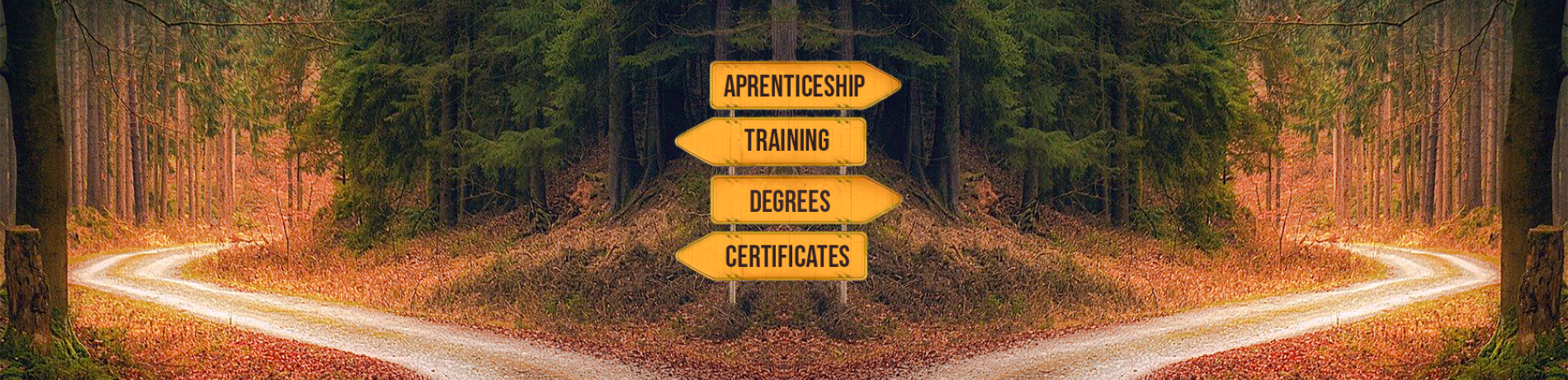 types of degrees certificates