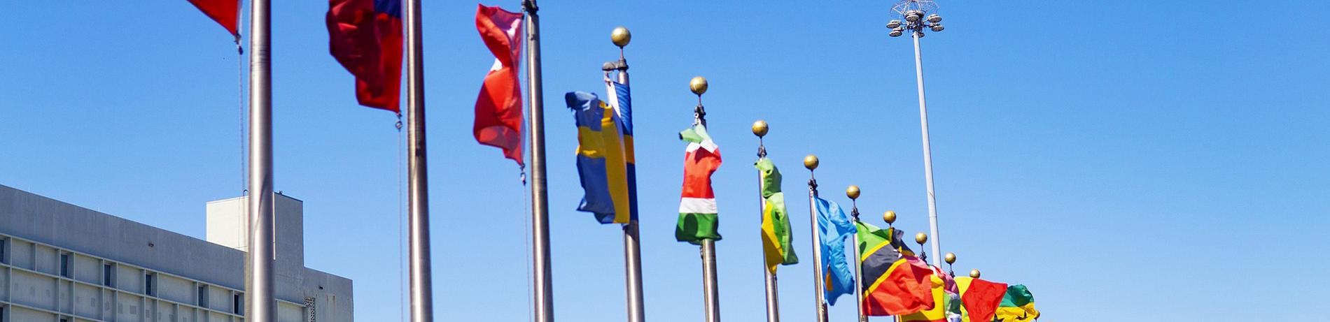 international flags outside of the United Nations illustrating political science studies