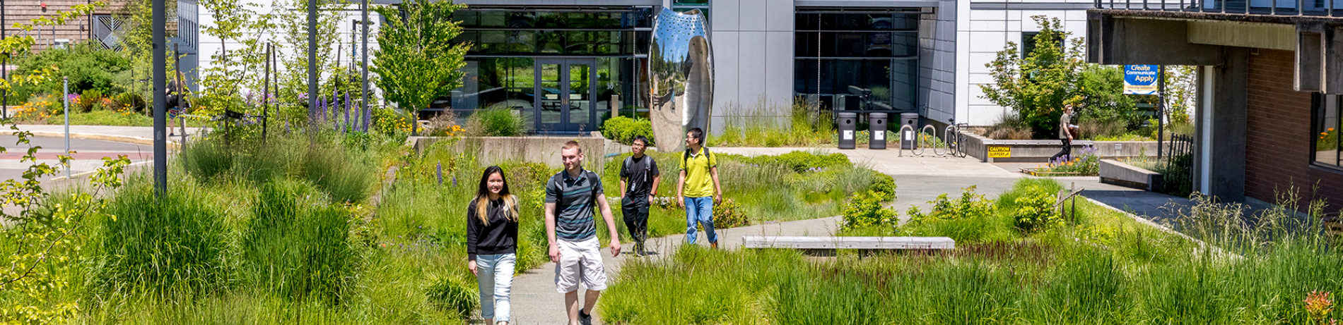 students walking on main campus in the sun