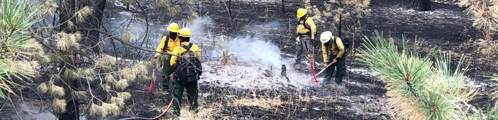 Firefighters hosing down smoldering cinders in a burnt forest