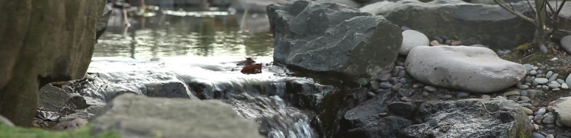 water flowing over rocks in a fountain on campus