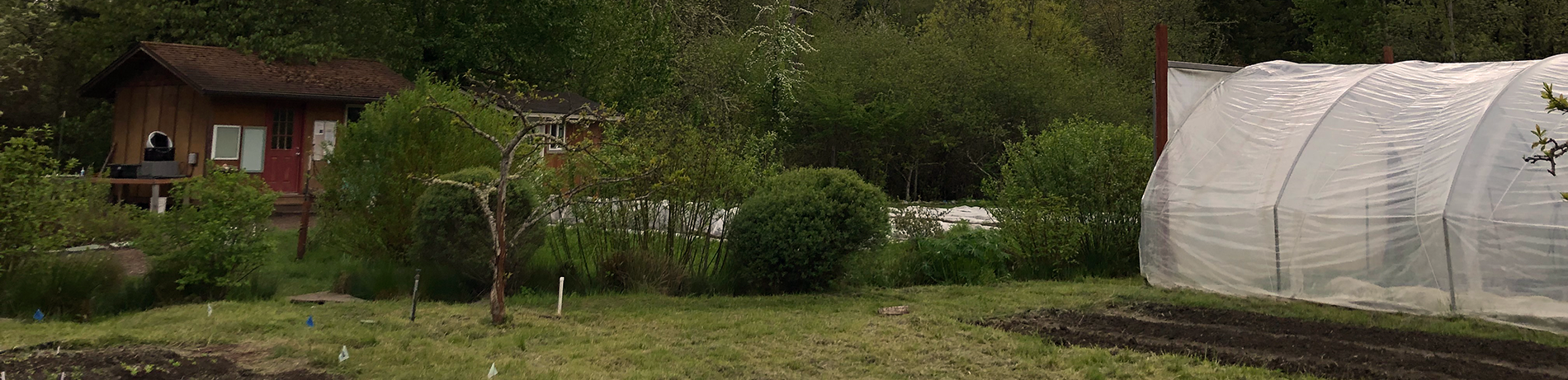 the learning garden on a cloudy spring day