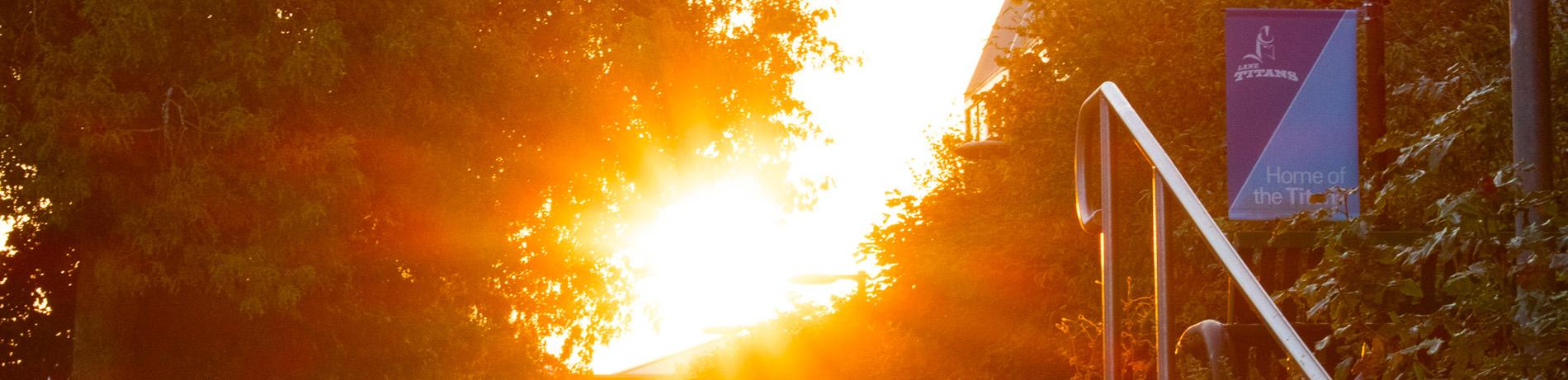 sun rising behind the trees at the west entrance of campus