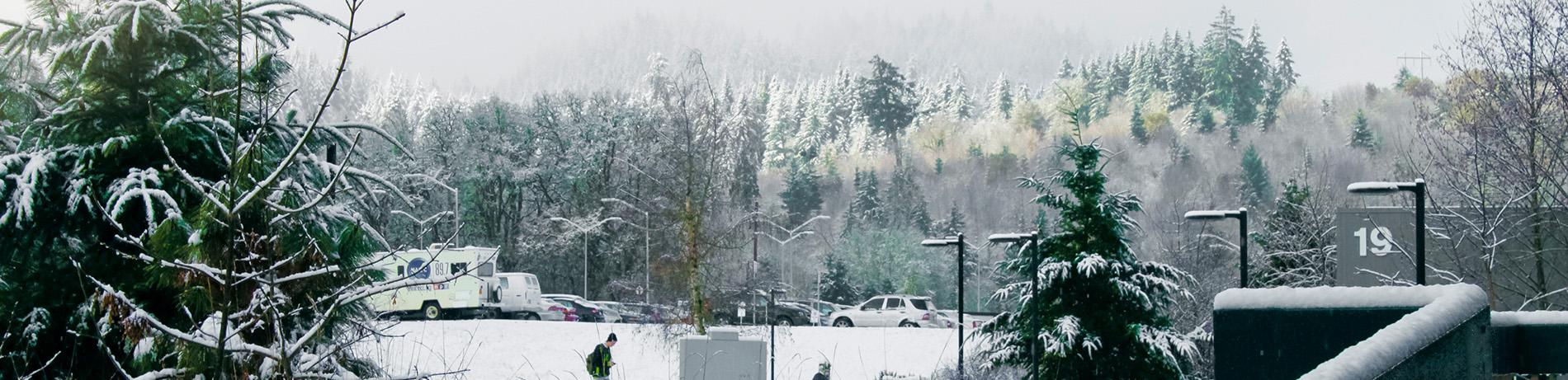 view of hills from campus snow covered cars and trees and sparkling winter sunlight