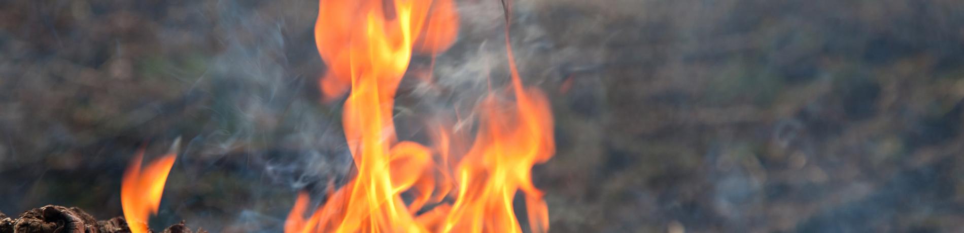 Yellow fire flames on natural wood