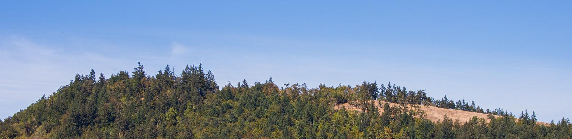 the mountain south of Lane