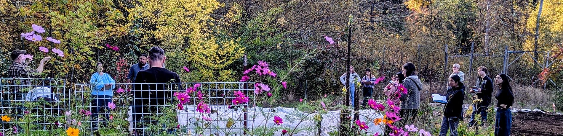 a class of students gathered in the learning garden with pink flowers in the foreground and the forest in the background