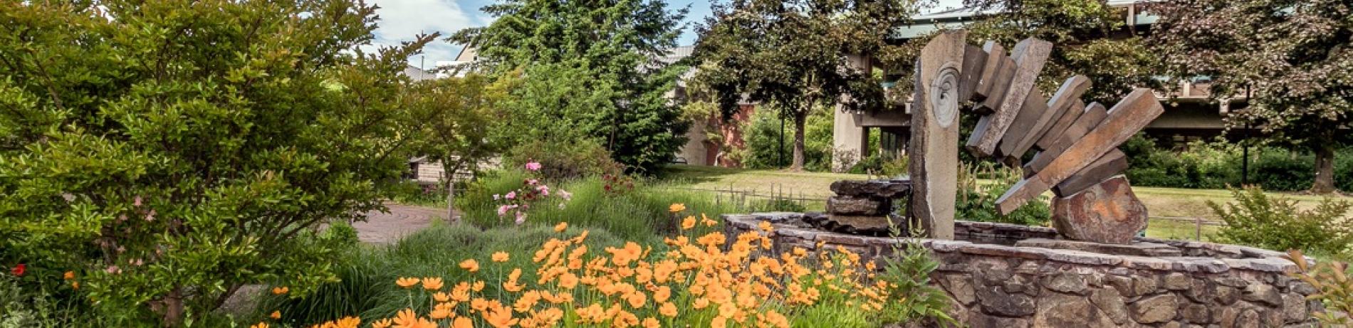 the stone fountain by building 1 with bright orange daisies in the foreground and dark green trees in the background