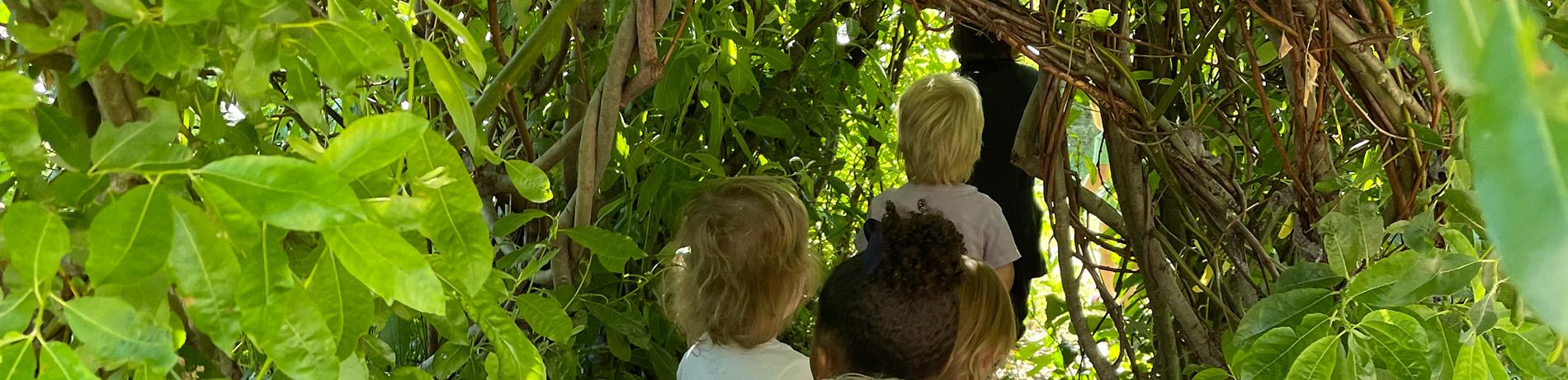 preschoolers walk through a willow tunnel led by a teacher at the Lane Child and Family Center