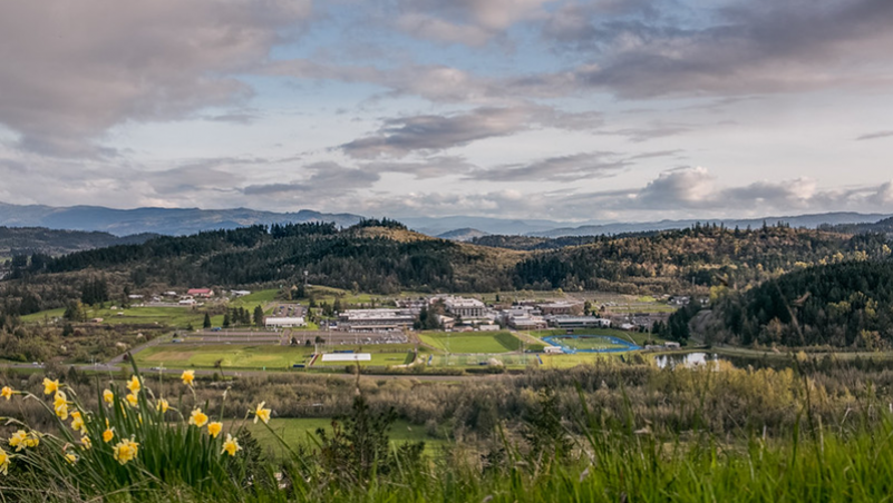 View of LCC main campus from hillside