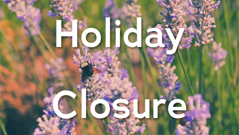 LCC holiday closure news release image flowers