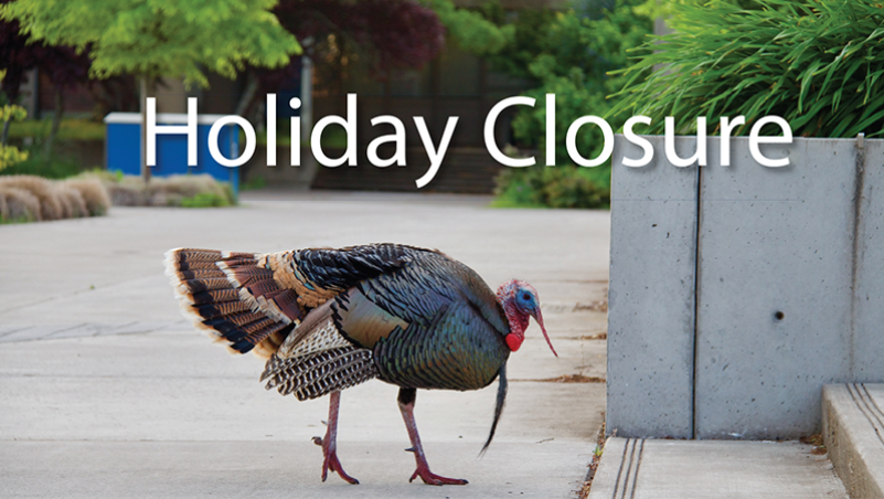 LCC holiday closure news release image turkey
