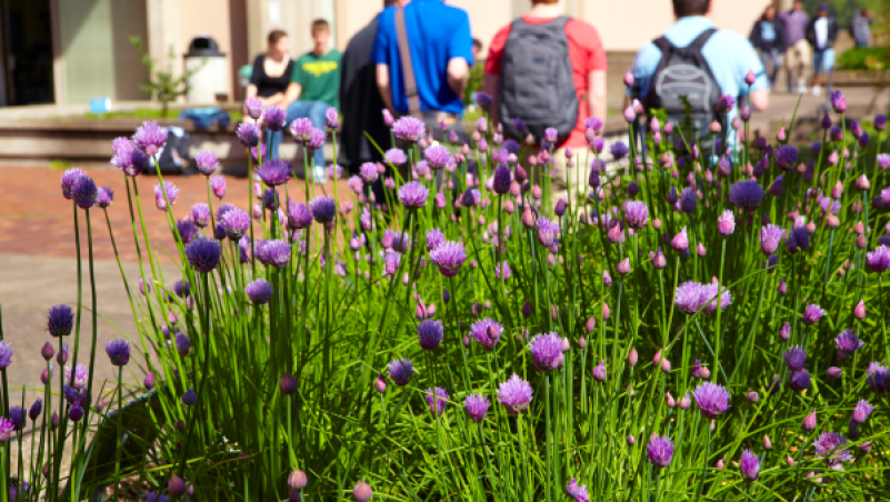 flowers on campus with students walking in background