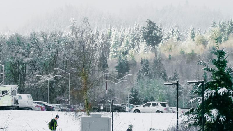 view of hills from campus snow covered cars and trees and sparkling winter sunlight