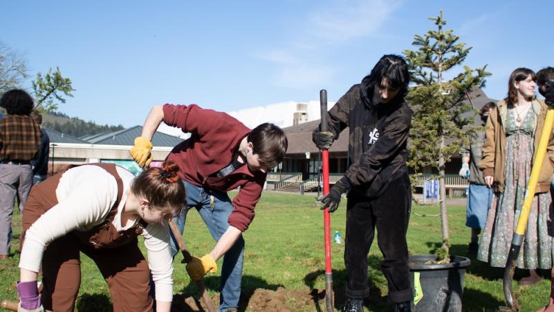biology students planting trees on a sunny day on campus
