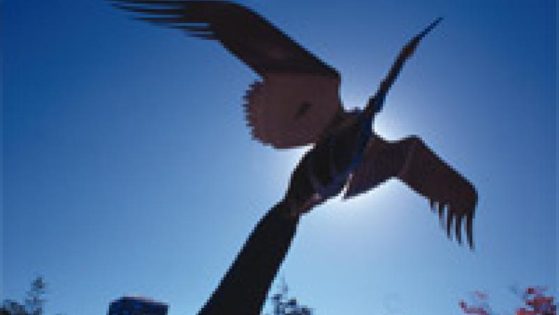 Crane sculpture by buses on main campus