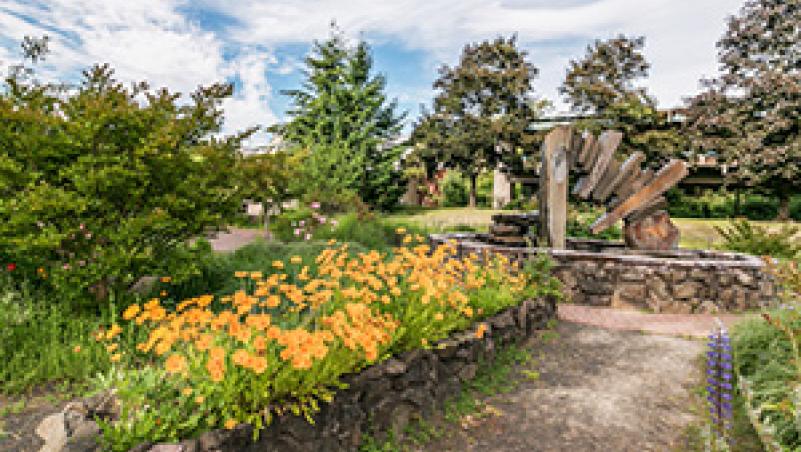 image of colorful plants around LCC fountain