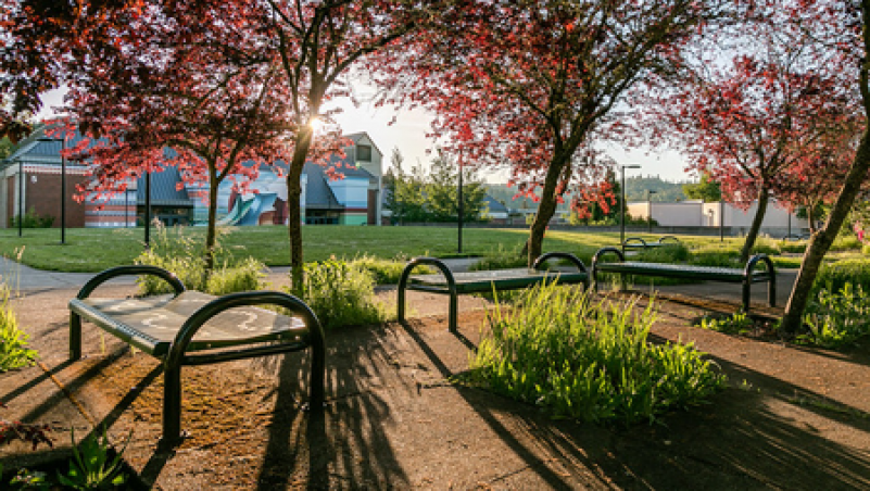 View of main campus near Center Building at sunset