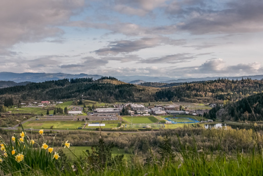 View of LCC main campus from hillside