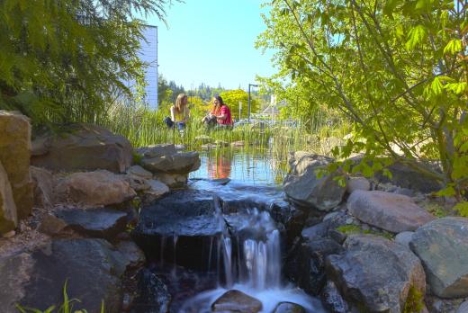 two people sitting in front of a tiny waterfall made on campus