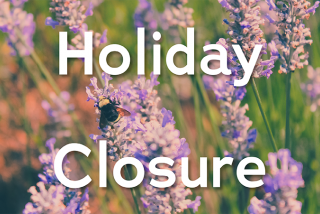 LCC holiday closure news release image flowers