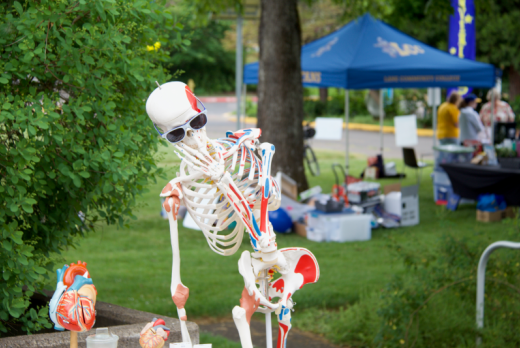 an anatomy class skeleton with sunglasses at an event